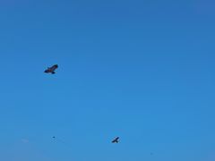 -长沙滨江文化园