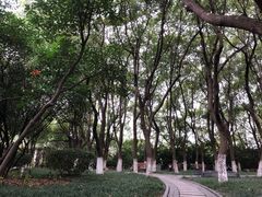 -荆川公园