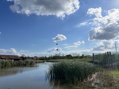 -盐城丹顶鹤湿地生态旅游区