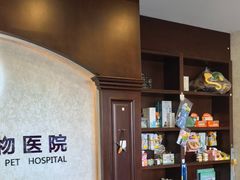 -宠爱国际动物医院·疑难骨科·心肾内科·皮肤科(太阳宫店)