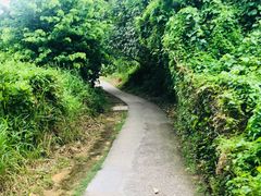 -南丫岛