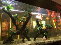 -大家乐(广州荔湾领展广场店)