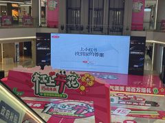 -红星美凯龙(上海沪南店)
