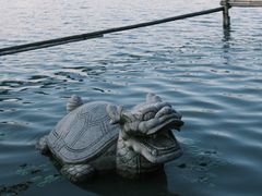 -昆山城市生态森林公园