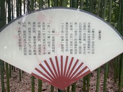 -陈家山荷花公园