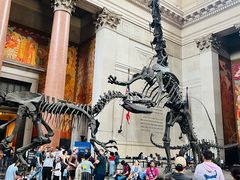 -美国自然历史博物馆