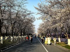 -蒋家桥饺面店(四望亭路店)