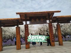 -江苏三台山国家森林公园