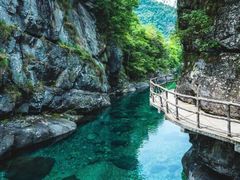 -石台牯牛降景区