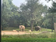 -北京野生动物园