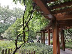 -徐家汇源景区-衡山公园