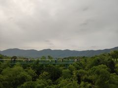 -陶祖圣境风景区