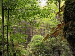 -梭布垭石林景区