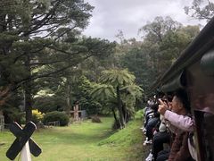 -普芬比利蒸汽火车