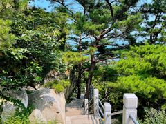 -崂山仰口游览区