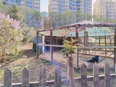 -观澜小洱海