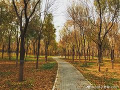 -东郊湿地公园