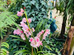 -国家植物园南园