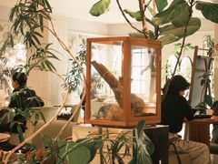 -一尺花园(安和花园店)