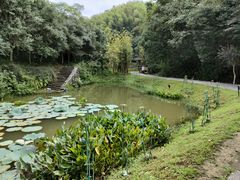 -常德桃花源景区