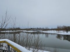-东郊湿地公园