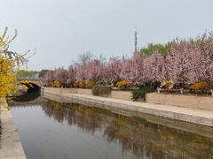 -元大都城垣遗址公园