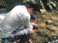 -白马涧龙池景区