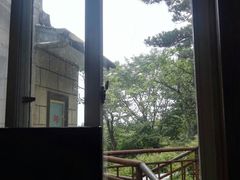 -黄山排云型旅酒店餐厅