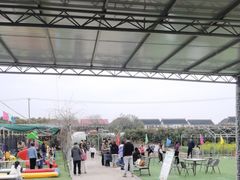 -小鱼草莓采摘园农家乐·小鱼餐厅