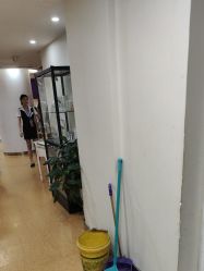 -安徽合肥韩美整形外科医院