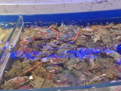 -澜悦港海鲜体验主题餐厅