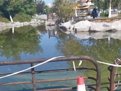 -绿岛公园(滨海新区)