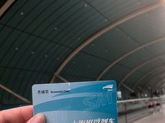 -龙阳路磁悬浮列车总站-停车场