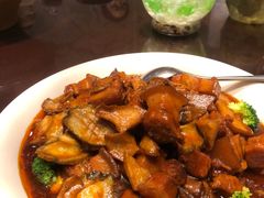 -陈麻婆豆腐总店
