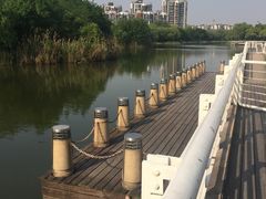 -新江湾城公园