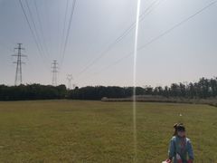 -东湖落雁景区