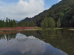 -广州市石门国家森林公园