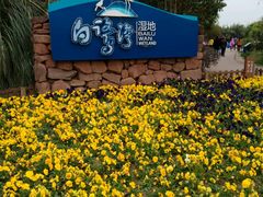 -白鹭湾湿地公园