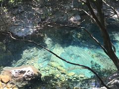 -祁门牯牛降观音堂风景区