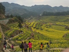 景点-灵山景区梯田