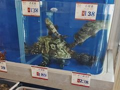 -子霖南山鲜虾面(南山总店)