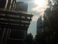 -中山大学中山眼科中心(珠江新城院区)