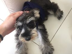 -怪兽屋·羊驼·猫咖·狗咖(俊华广场店)