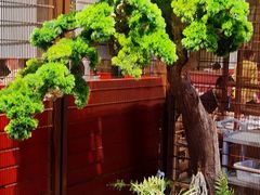 -牛村来人潮汕牛肉火锅(西单店)