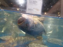 -盒马鲜生(枣园路店)