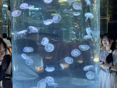 -海合安成都极地海洋公园