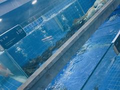 -外滩·云南人家(昆明旗舰店)