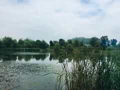 -山水间小院