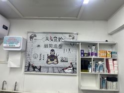 -丽简造型