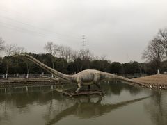 -上海海湾国家森林公园